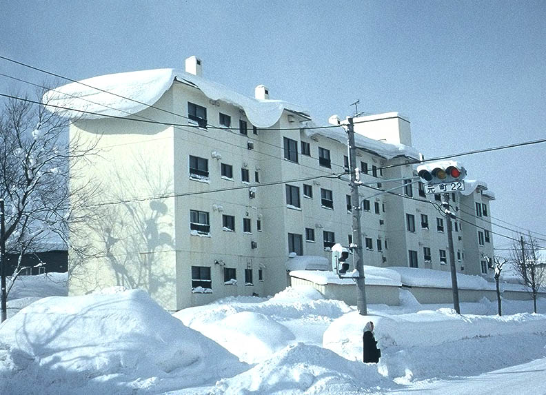 雪庇防止装置＿スノーセイバ